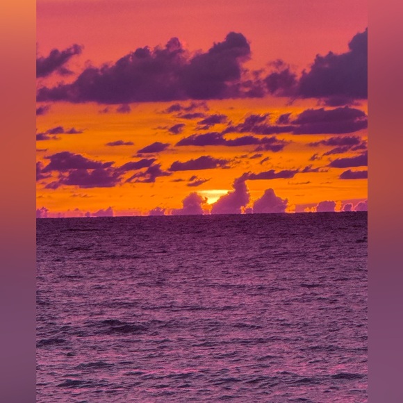 Meet your Posher, Shelley - Picture 3 of 7